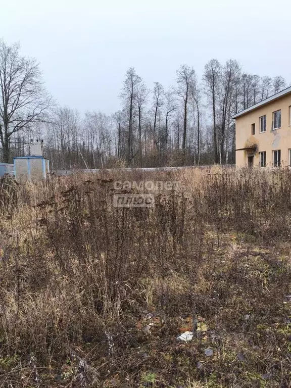 Помещение свободного назначения в Московская область, Рошаль ул. ... - Фото 2