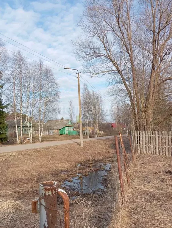 Участок в Новгородская область, Боровичский район, Опеченское с/пос, ... - Фото 1