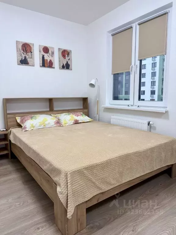 Студия Ленинградская область, Всеволожское городское поселение, пос. ... - Фото 1