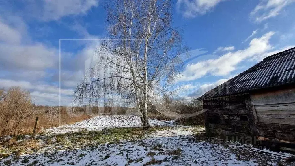 Дом в Воронежская область, Новоусманский район, Рождественско-Хавское ... - Фото 1