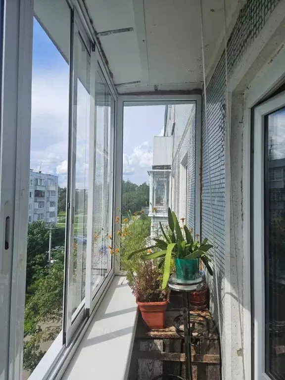 3-к кв. Московская область, Пушкинский городской округ, д. ... - Фото 1