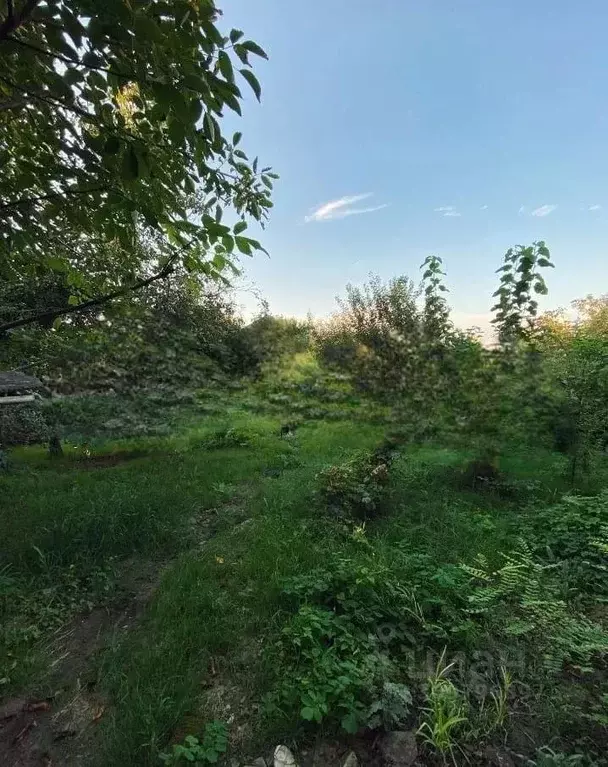 Дом в Краснодарский край, Анапа муниципальный округ, с. Супсех ул. ... - Фото 1