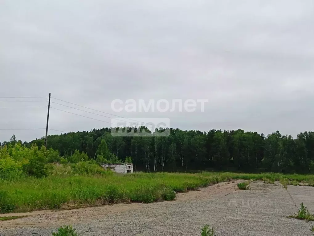 Участок в Свердловская область, Белоярский пгт, д. Бутакова  (200.0 ... - Фото 2