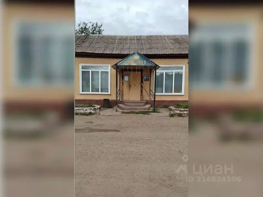 Торговая площадь в Амурская область, Михайловский район, с. Чесноково  ... - Фото 0