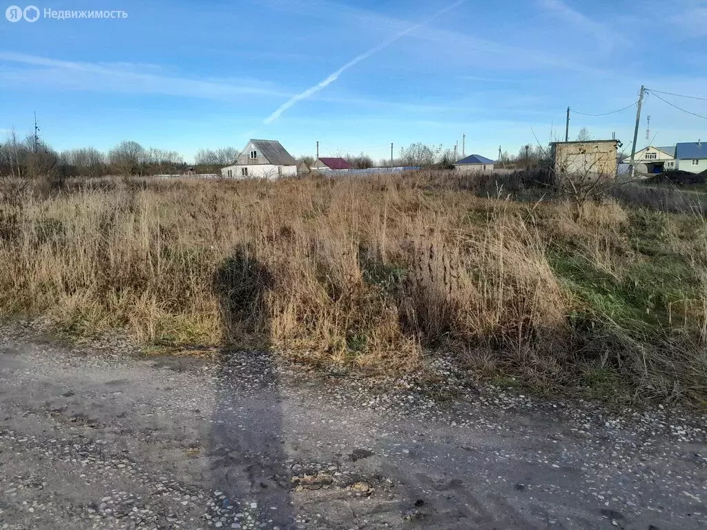 Участок в Слизово, 31А (18.5 м) - Фото 2