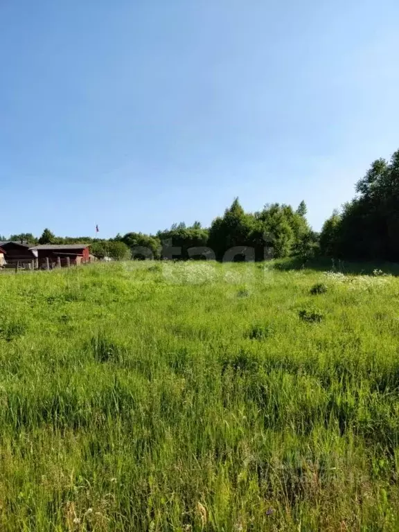 Участок в Псковская область, Псковский район, Ядровская волость, д. ... - Фото 1