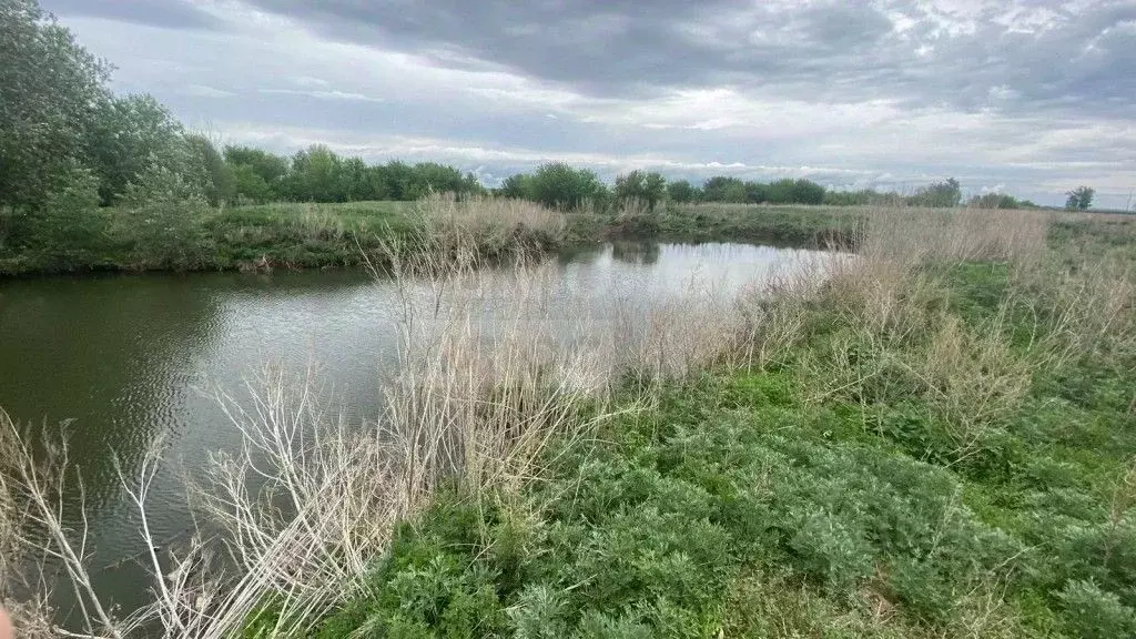 Участок в Оренбургская область, Оренбургский район, Пугачевский ... - Фото 1