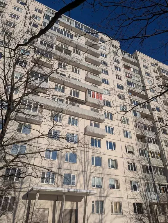 Комната Санкт-Петербург ул. Стасовой, 2А (12.2 м) - Фото 1