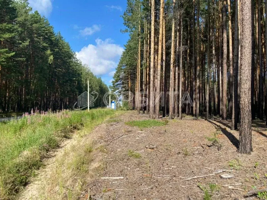 Участок в Тюменская область, Нижнетавдинский район, пос. ... - Фото 1