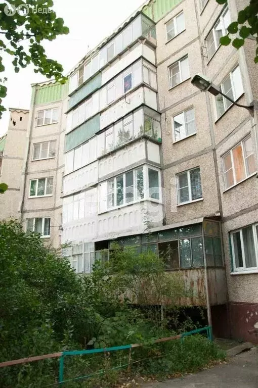 1-комнатная квартира: Липецк, улица Ушинского, 17 (35 м) - Фото 1