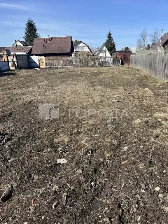 Участок в Новосибирская область, Коченевский район, Горняк СНТ 157 ... - Фото 2