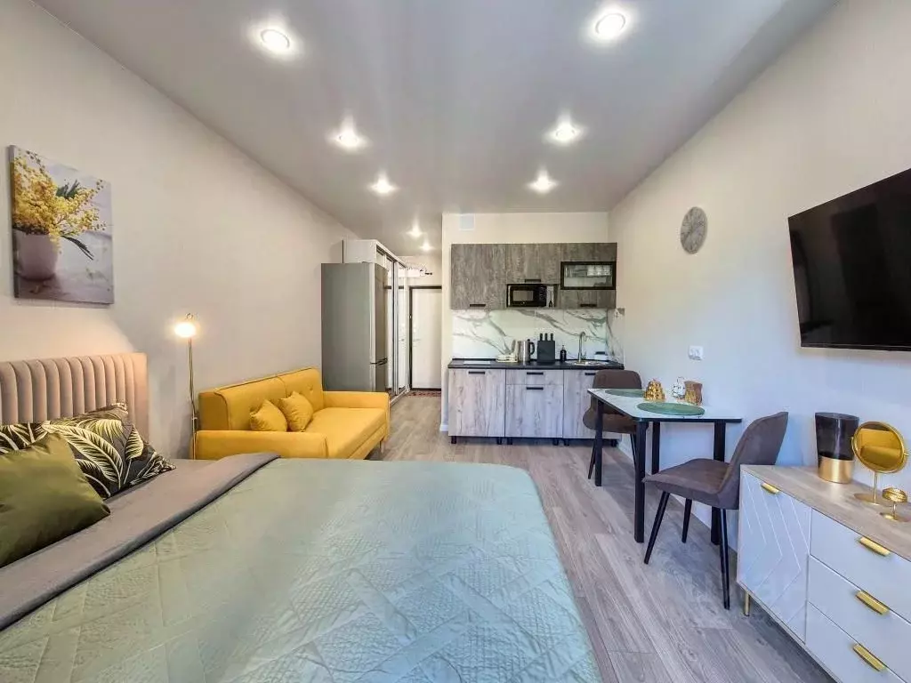 1-к кв. Краснодарский край, Сочи ул. Искры, 88к8 (27.0 м) - Фото 1