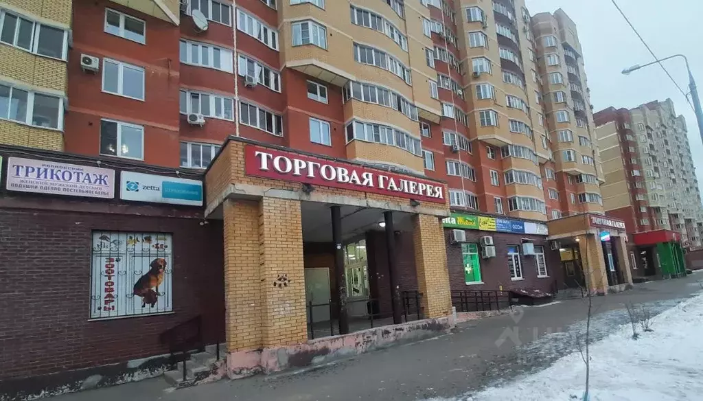 Помещение свободного назначения в Московская область, Щелково ул. ... - Фото 2