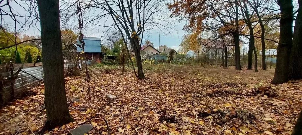 Участок в Московская область, Балашиха Салтыковка мкр, Московская ул., ... - Фото 0