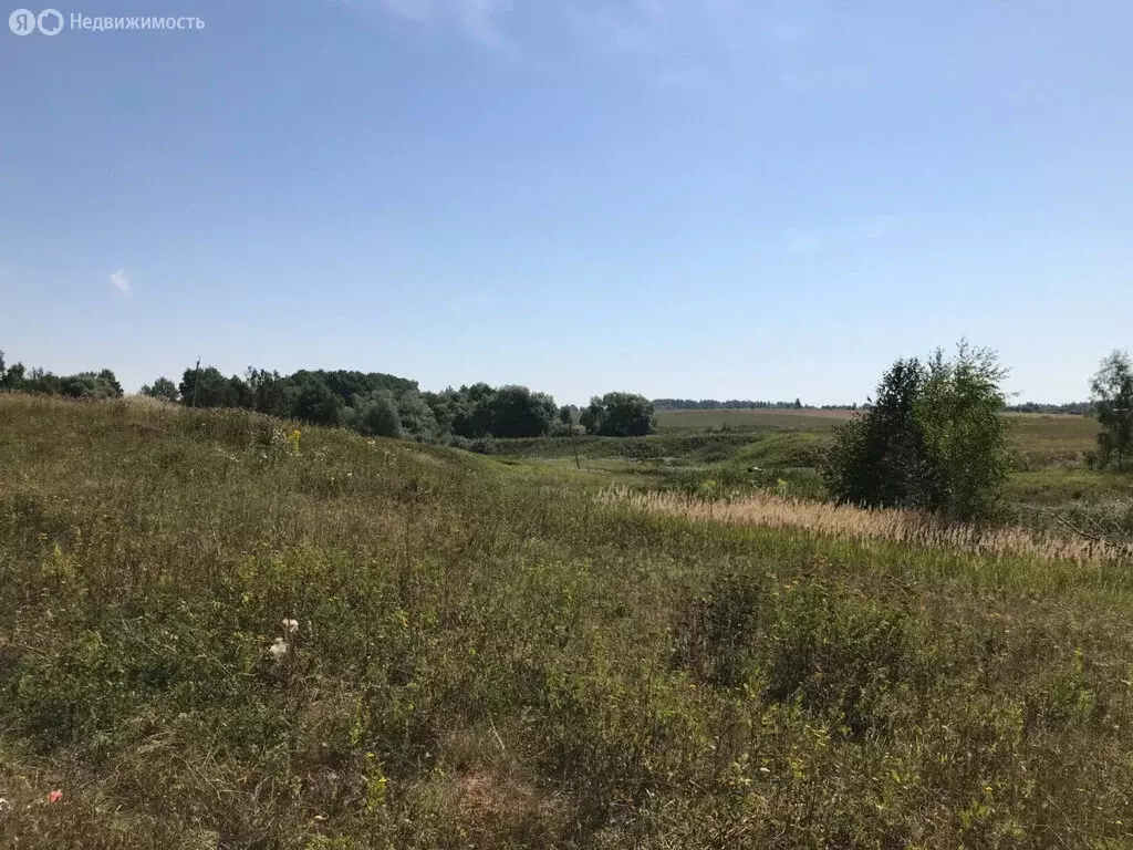 Участок в Заокский район, сельское поселение Демидовское, деревня ... - Фото 1