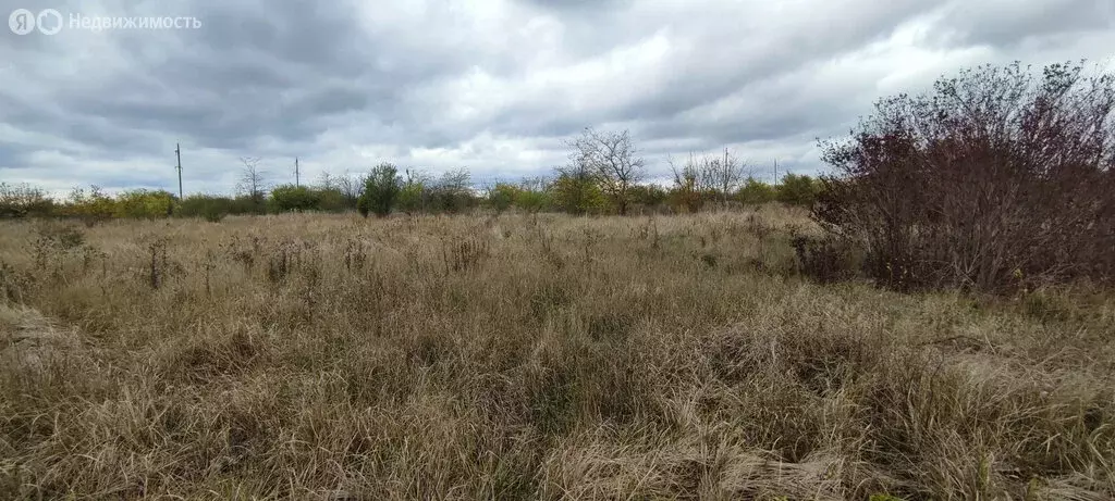 Участок в станица Должанская, Знаменский переулок (6.9 м) - Фото 1