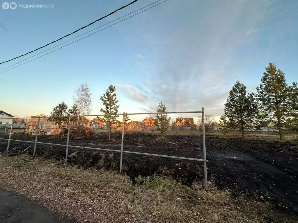 Участок в Тюмень, ДНП Звенящие Кедры Тюмени (12.9 м) - Фото 2