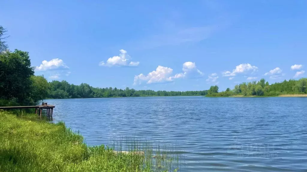 Участок в Московская область, Волоколамский городской округ, с. ... - Фото 1