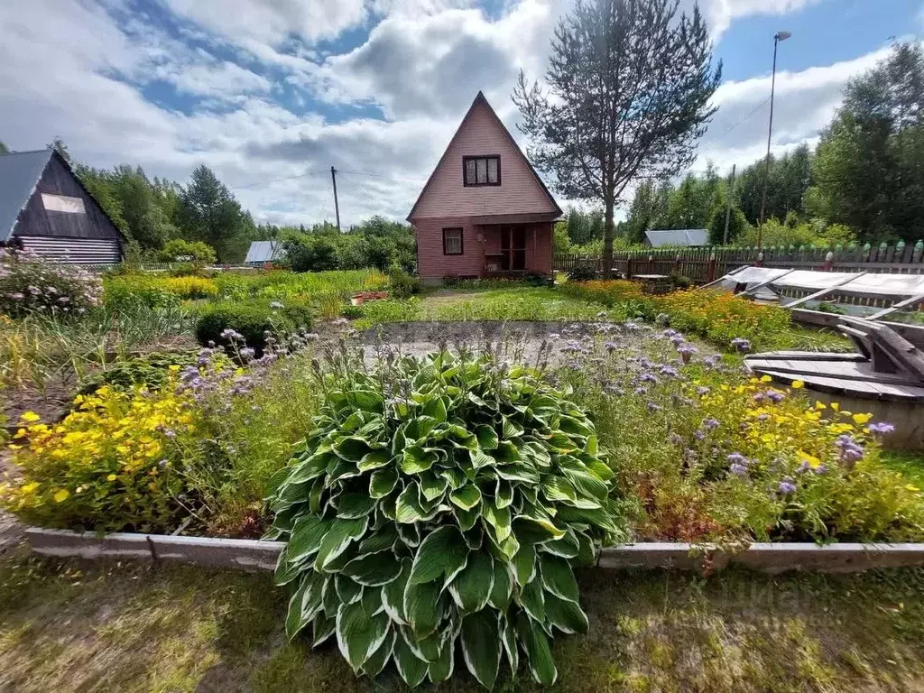 Дом в Коми, Сыктывдинский район, с. Выльгорт, Югор СТ 120 (46 м) - Фото 0