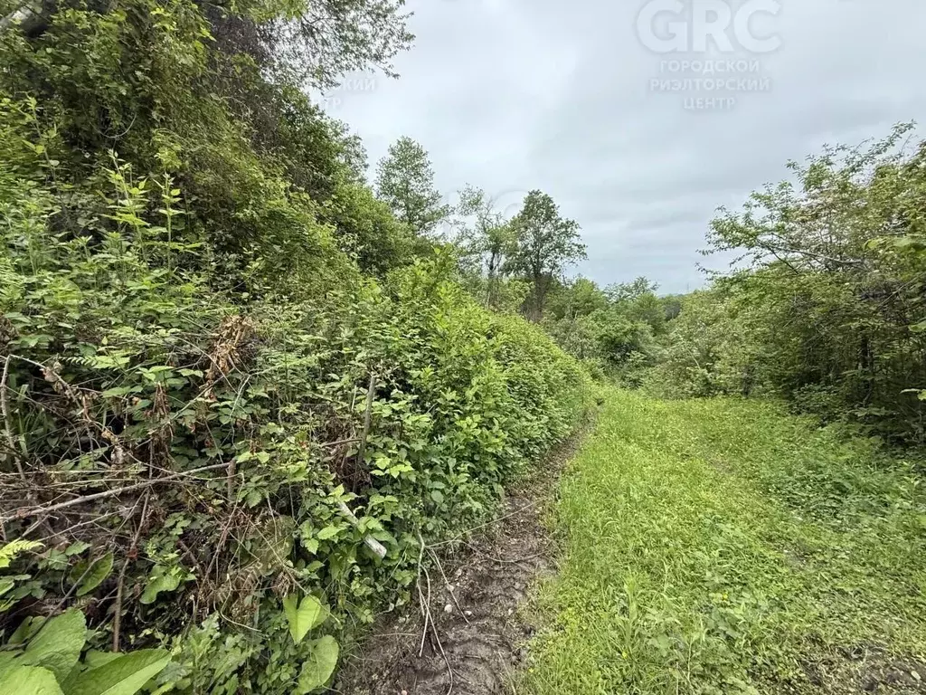 Участок в Краснодарский край, Сочи городской округ, с. Верхнее Буу ул. ... - Фото 0