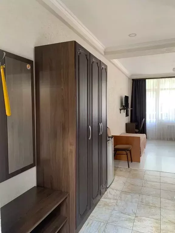 1-к кв. Краснодарский край, Сочи Красная Поляна пгт, ул. Защитников ... - Фото 2