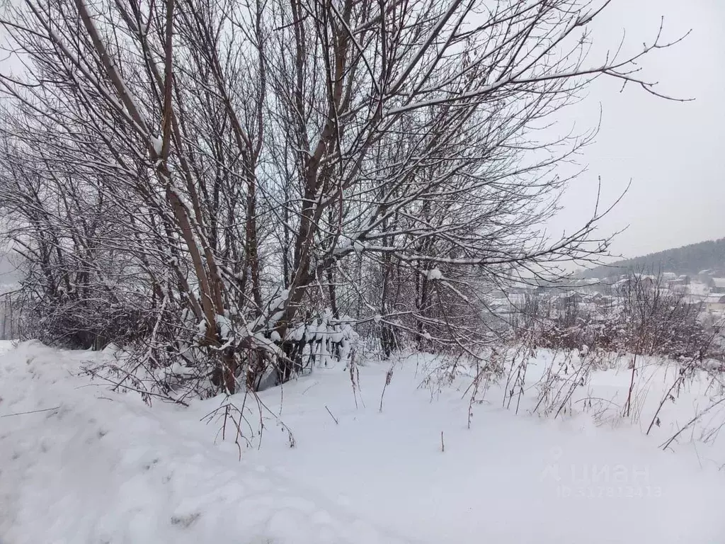 Участок в Алтай, Горно-Алтайск пер. Дачный (4.54 сот.) - Фото 1