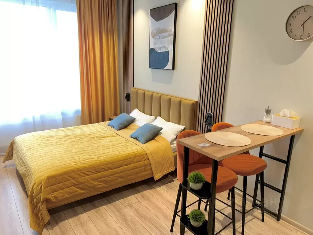 Студия Санкт-Петербург просп. Энергетиков, 8к2 (24.2 м) - Фото 0