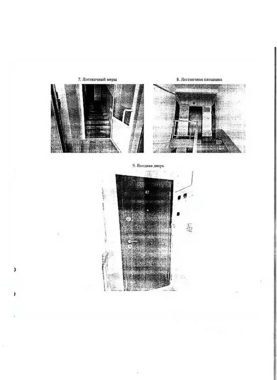 2-к кв. Алтайский край, Бийск ул. Ильи Мухачева, 97 (44.9 м) - Фото 2