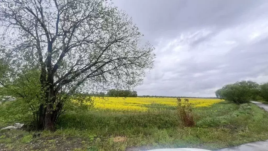 Участок в Калининградская область, Гурьевск (6.5 м) - Фото 1