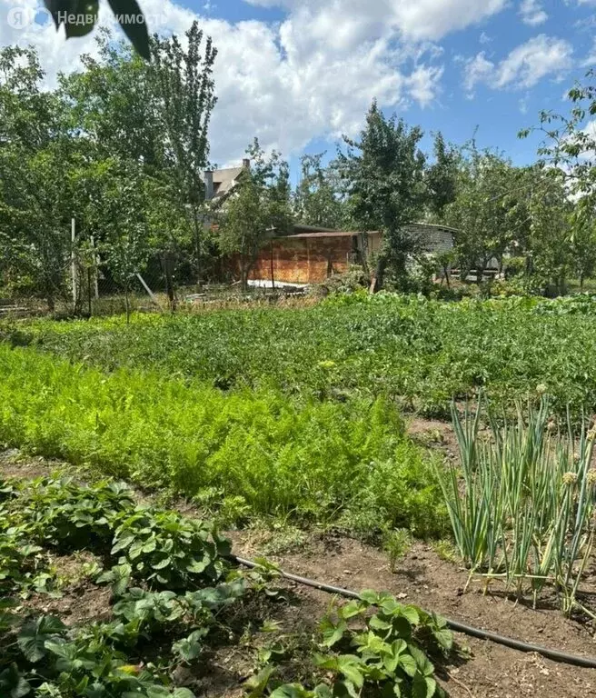 Дом в Каменск-Шахтинский, Арсенальная улица (45 м) - Фото 0
