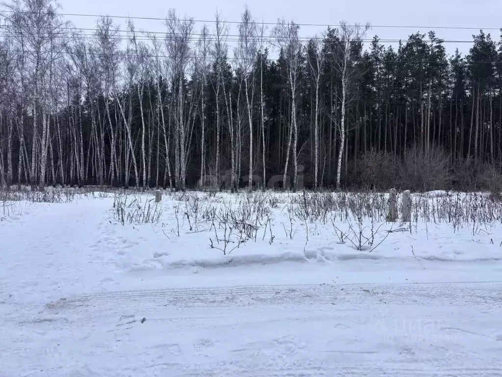 Участок в Воронежская область, Рамонский район, Березовское с/пос, д. ... - Фото 0