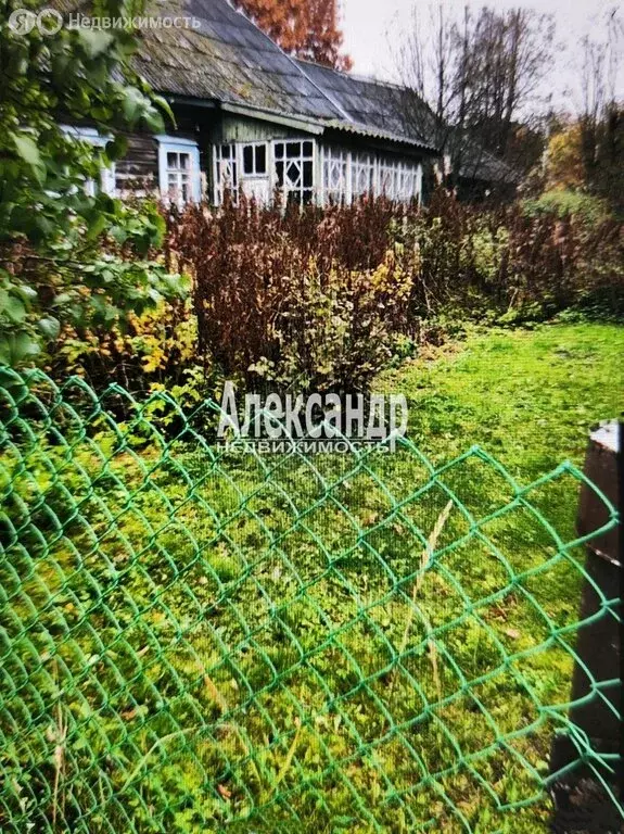 Участок в Рабитицкое сельское поселение, деревня Сосницы, 64 (10 м) - Фото 1