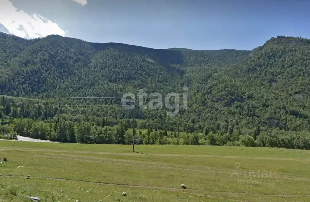 Участок в Алтай, Онгудайский район, с. Иодро  (200.0 сот.) - Фото 1