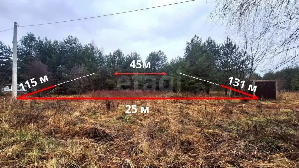 Участок в Владимирская область, Камешковский муниципальный округ, ... - Фото 1