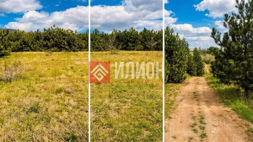 Участок в Крым, Кировский район, Старый Крым городское поселение пл. ... - Фото 2