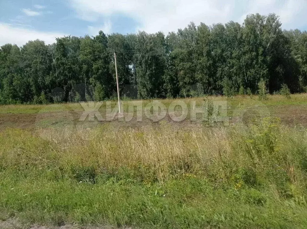 Участок 11 сот. (СНТ, ДНП) - Фото 0