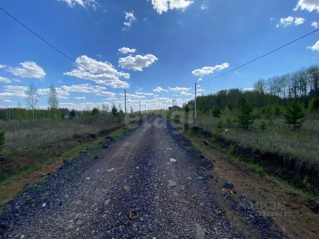 Участок в Тюменская область, Тюменский муниципальный округ, с. Кулига, ... - Фото 2