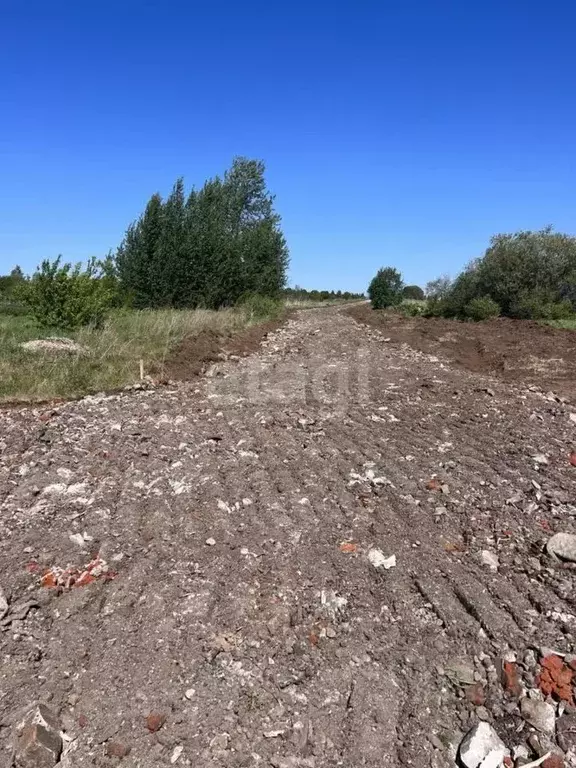 Участок в Пермский край, Пермский муниципальный округ, д. Косотуриха ... - Фото 1