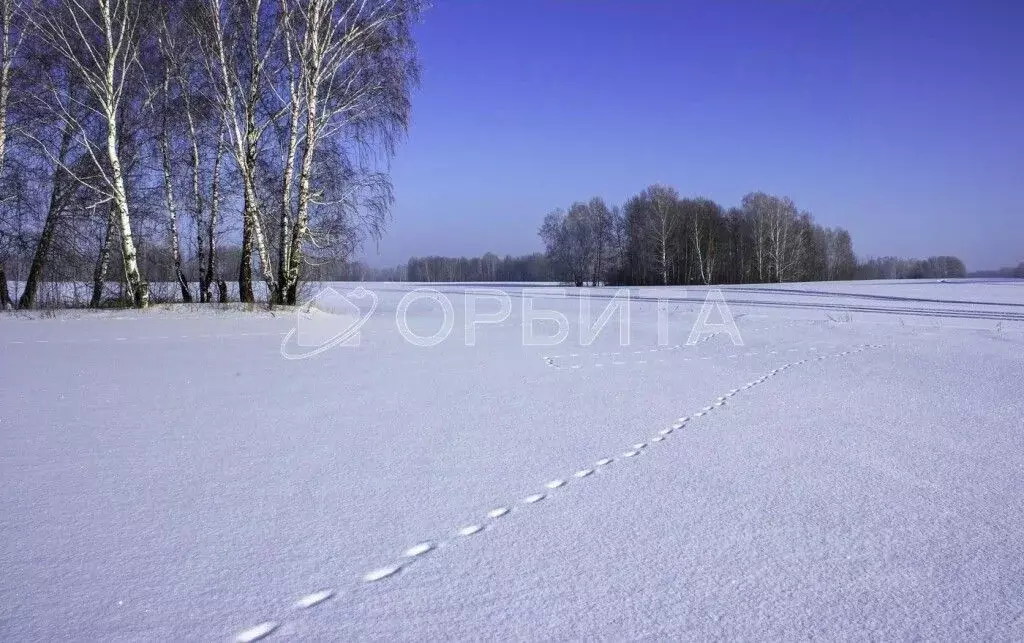 Участок в Тюменская область, Тюменский район, д. Марай  (7.5 сот.) - Фото 0