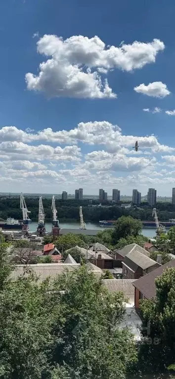 Комната Ростовская область, Ростов-на-Дону, Нахичевань ул. 1-я Линия, ... - Фото 1