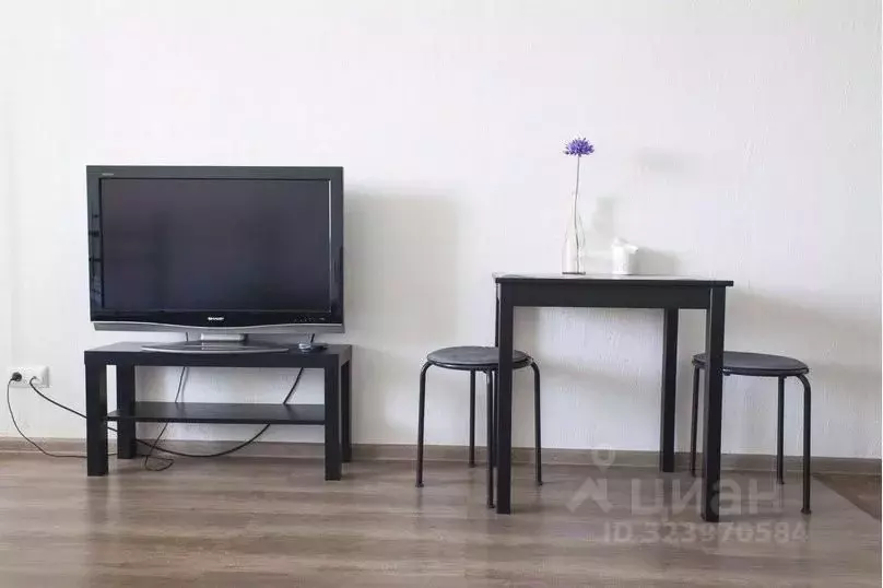 1-к кв. Владимирская область, Владимир Ставровская ул., 1 (25.0 м) - Фото 2