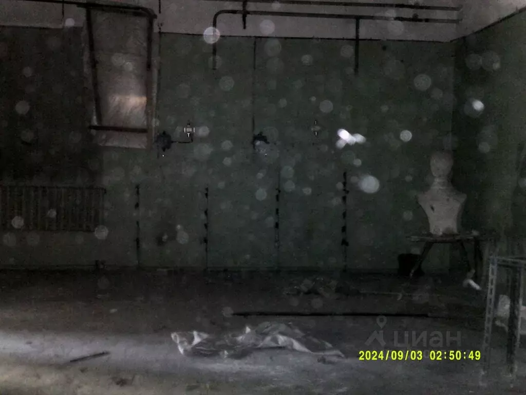 Помещение свободного назначения в Новосибирская область, Новосибирск ... - Фото 1