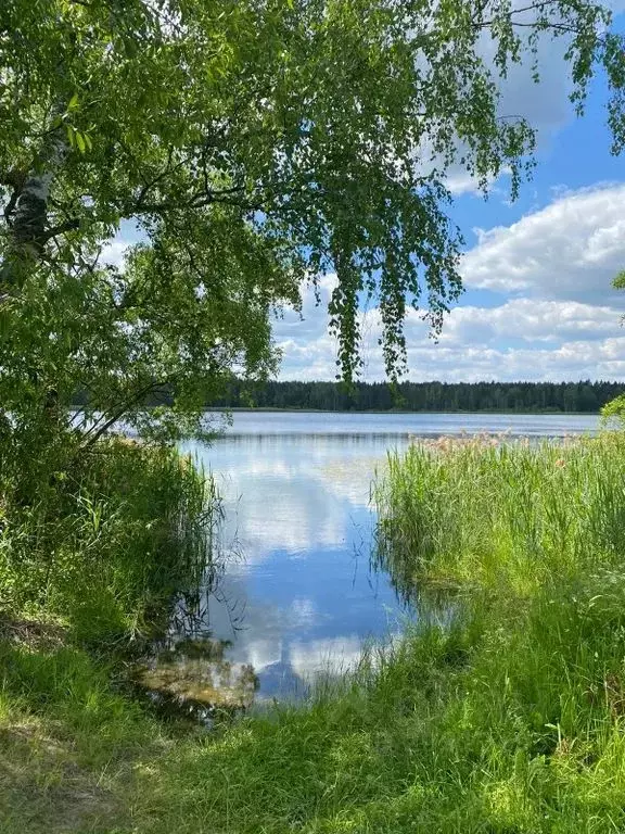 Дом в Тверская область, Кимрский муниципальный округ  (24 м) - Фото 1