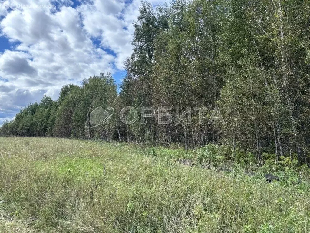 Участок в Тюменская область, Ялуторовский муниципальный округ, село ... - Фото 1
