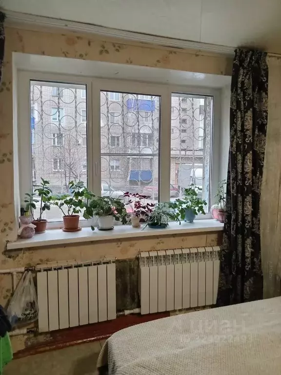 1-к кв. Самарская область, Сызрань ул. Физкультурников, 11 (29.0 м) - Фото 1