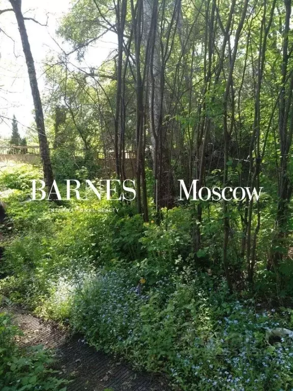 Участок в Московская область, Одинцовский городской округ, пос. ... - Фото 2