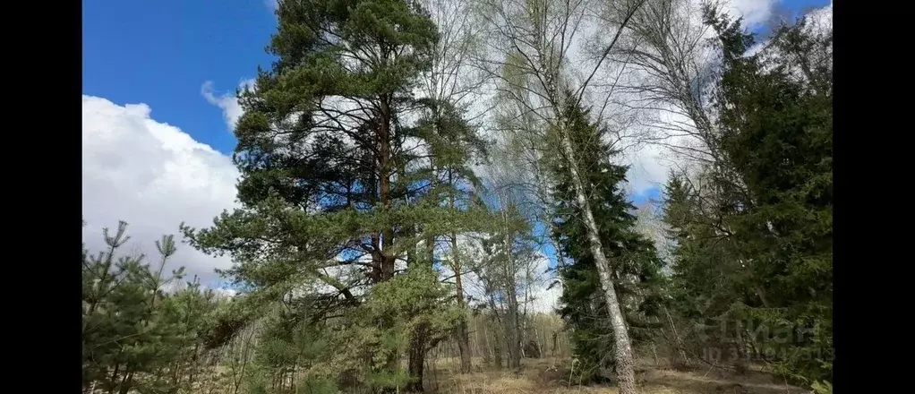 Участок в Московская область, Ступино городской округ, с. Ивановское ... - Фото 1
