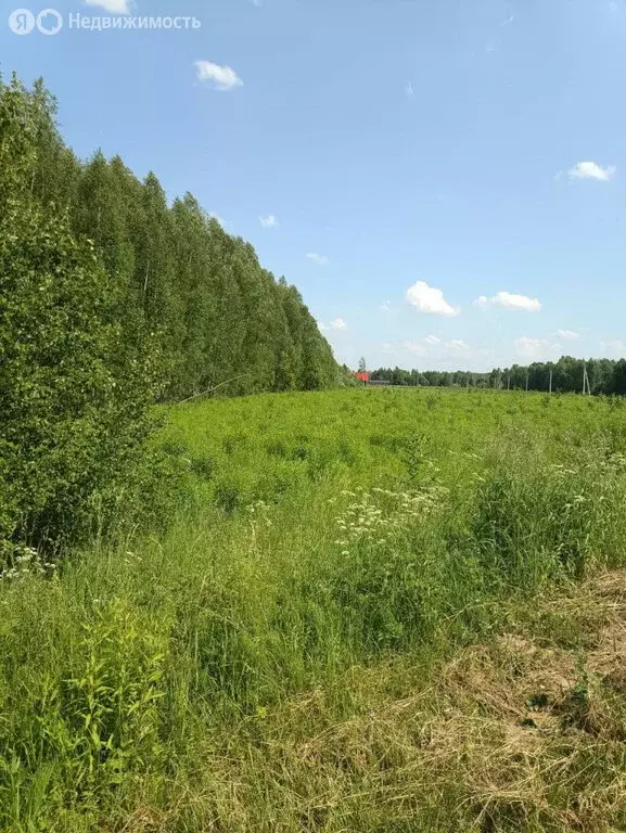 Участок в Нижегородская область, муниципальный округ Бор, деревня ... - Фото 1
