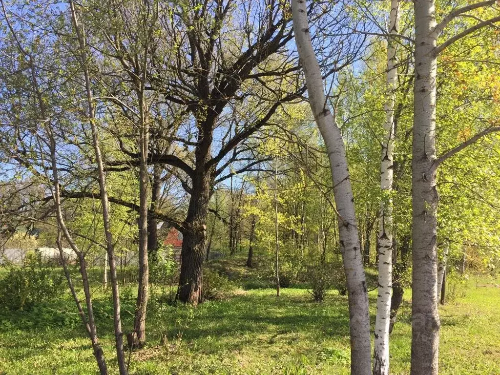 Участок в Московская область, Одинцовский городской округ, Супонево ... - Фото 2