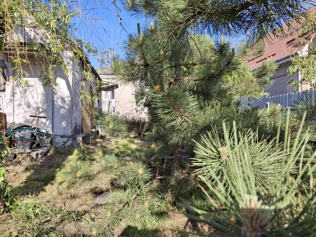 Дом в Краснодарский край, Новороссийск городской округ, пос. ... - Фото 1